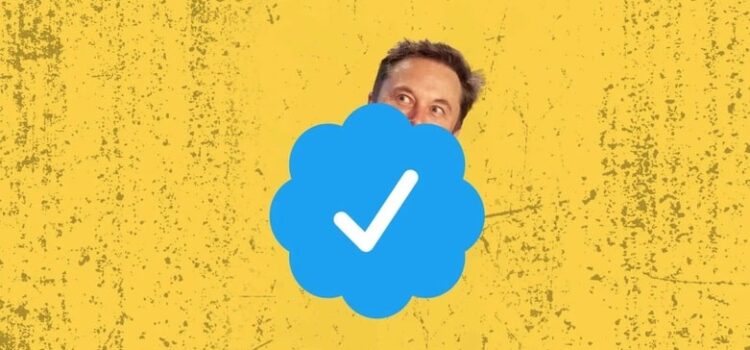 $8 for Twitter verified account?